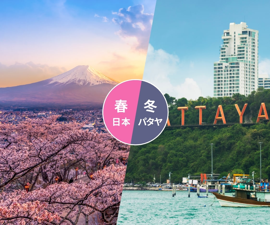 パタヤと日本の二拠点生活
